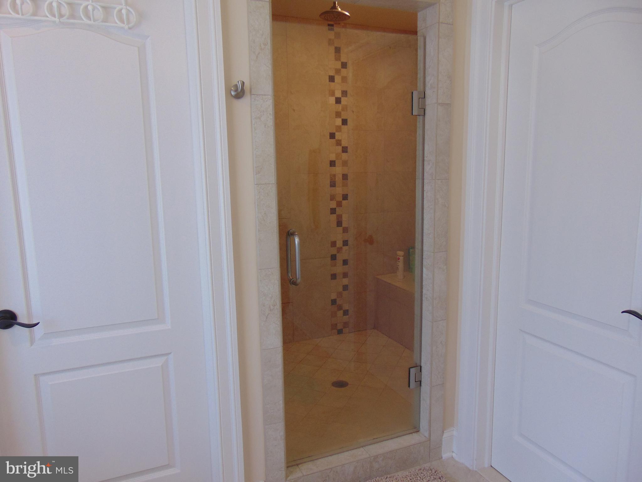 1027 Towlston Road McLean, VA 22102 - Photo 50 of 59 a bathroom with a shower