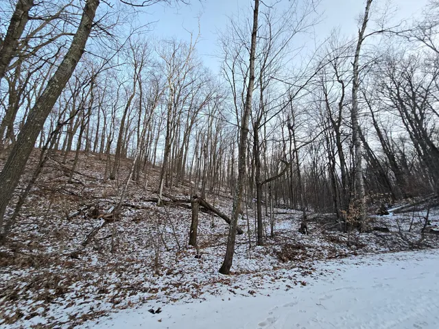 $11,900 | Lot25-blk1 Westward Ho, Garrison, MN 56450