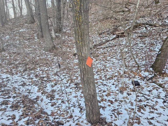 $11,900 | Lot25-blk1 Westward Ho, Garrison, MN 56450