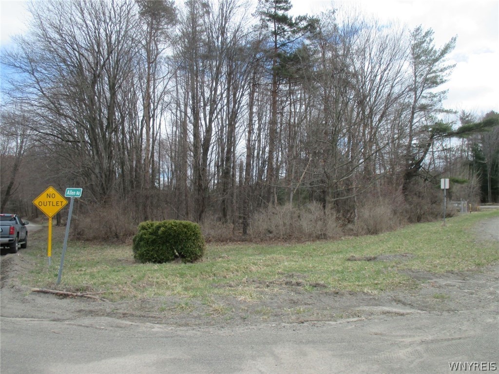 Vl Vail Road Arcade, NY 14009 - Photo 1 of 1