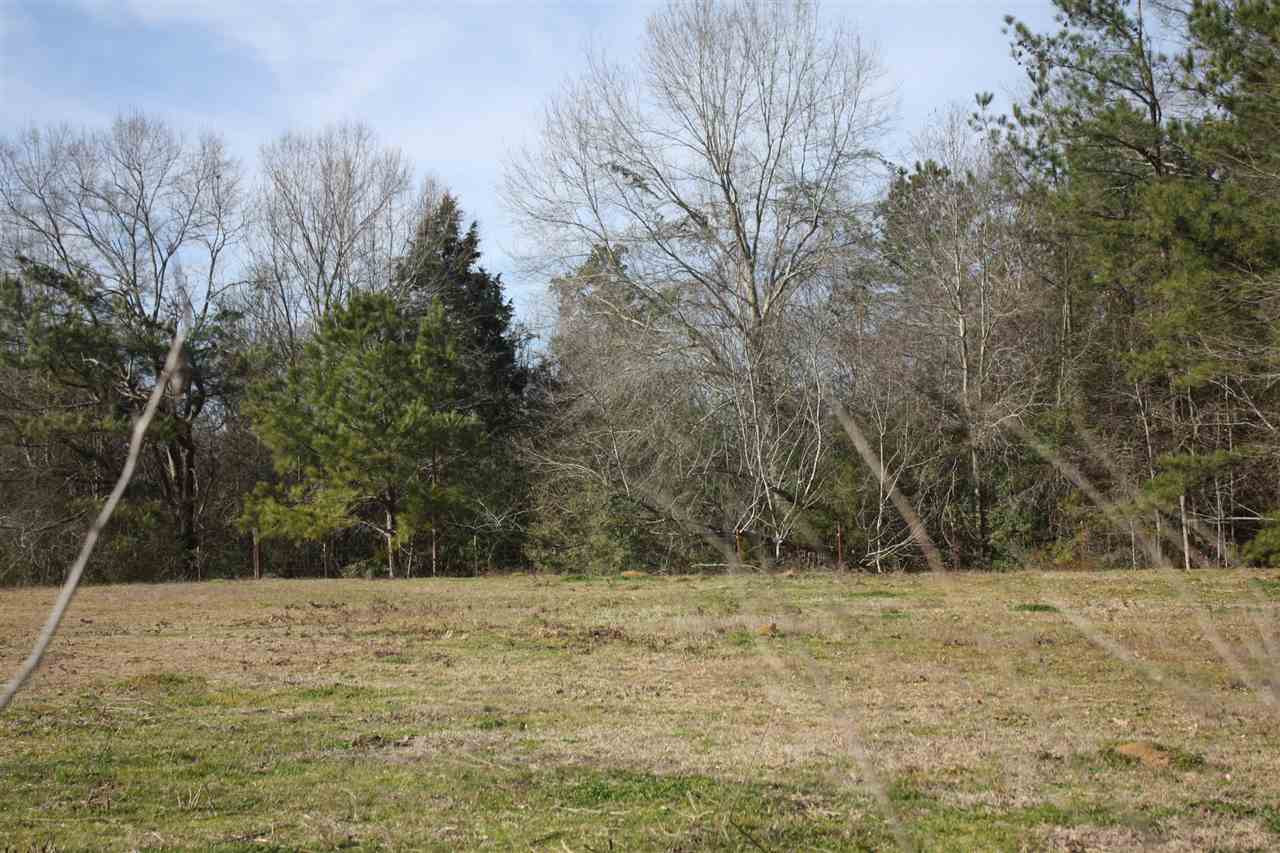 330 Golf Course Road Mendenhall, MS 39114 - Photo 3 of 10 Photo 3