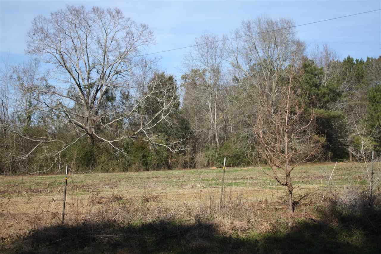 330 Golf Course Road Mendenhall, MS 39114 - Photo 6 of 10 Photo 6