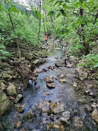 507 Southwest Stratford Road Lee's Summit, MO 64081 - Photo 37 of 41