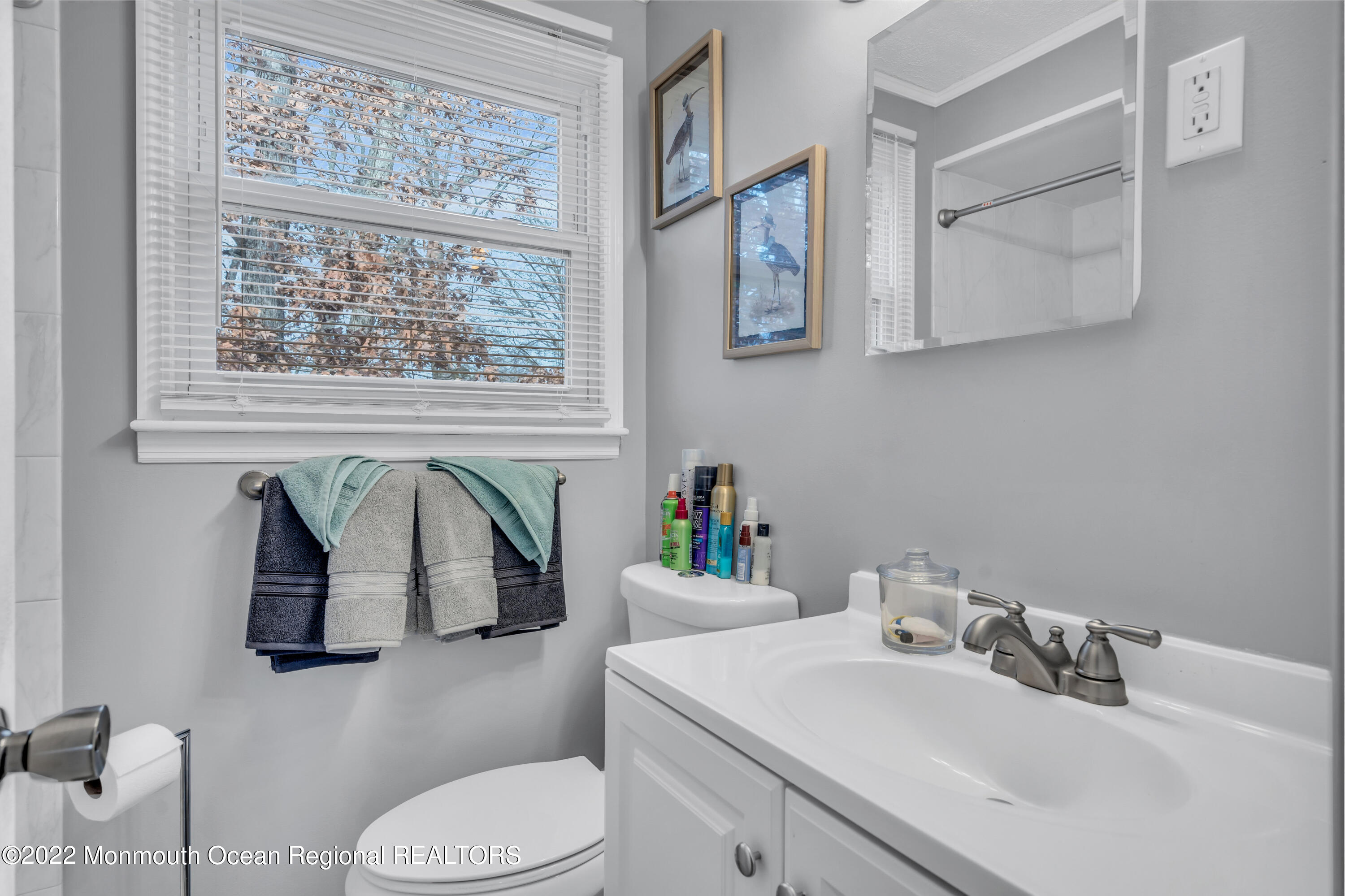 22 Adelphi Drive Jackson, NJ 08527 - Photo 30 of 38 033_dsc08025