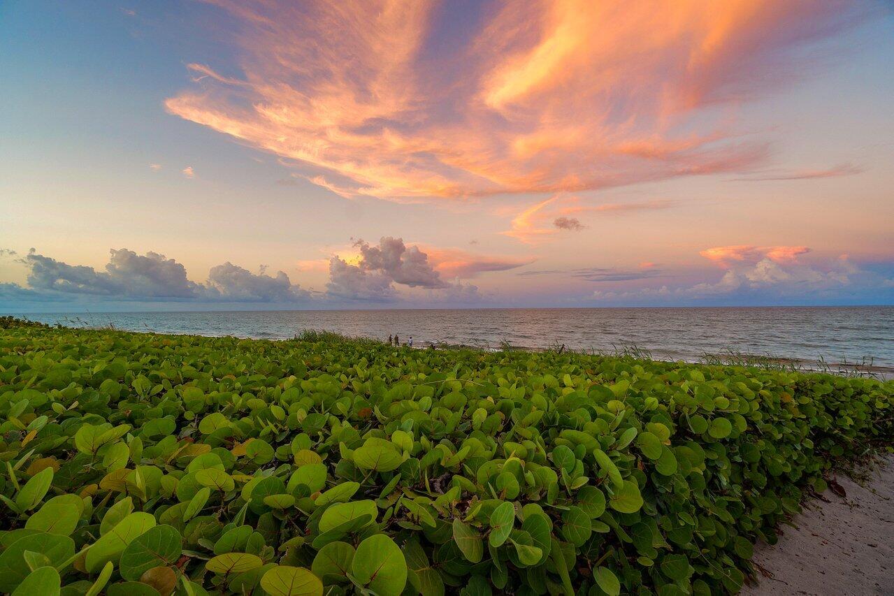 370 Mercury Road, Unit 1 Juno Beach, FL 33408 - Photo 13 of 61 069-370MercuryRoad-JunoBeach-FL-33408-SM