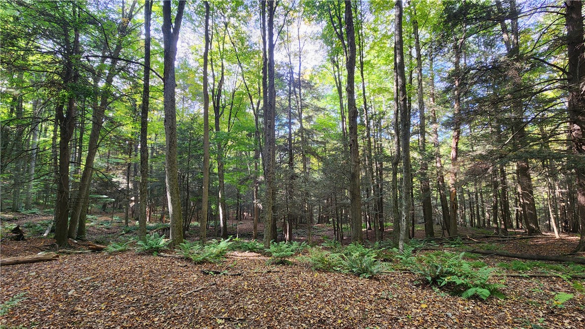 0 Old Italy Valley Road Naples, NY 14512 - Photo 11 of 41