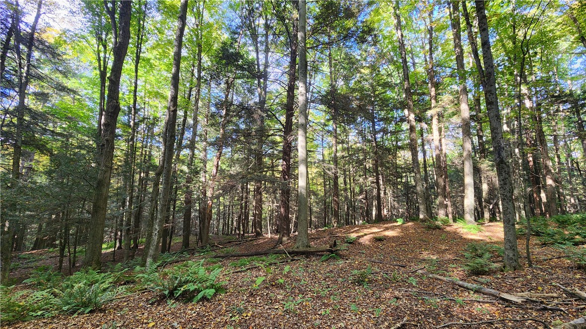 0 Old Italy Valley Road Naples, NY 14512 - Photo 12 of 41