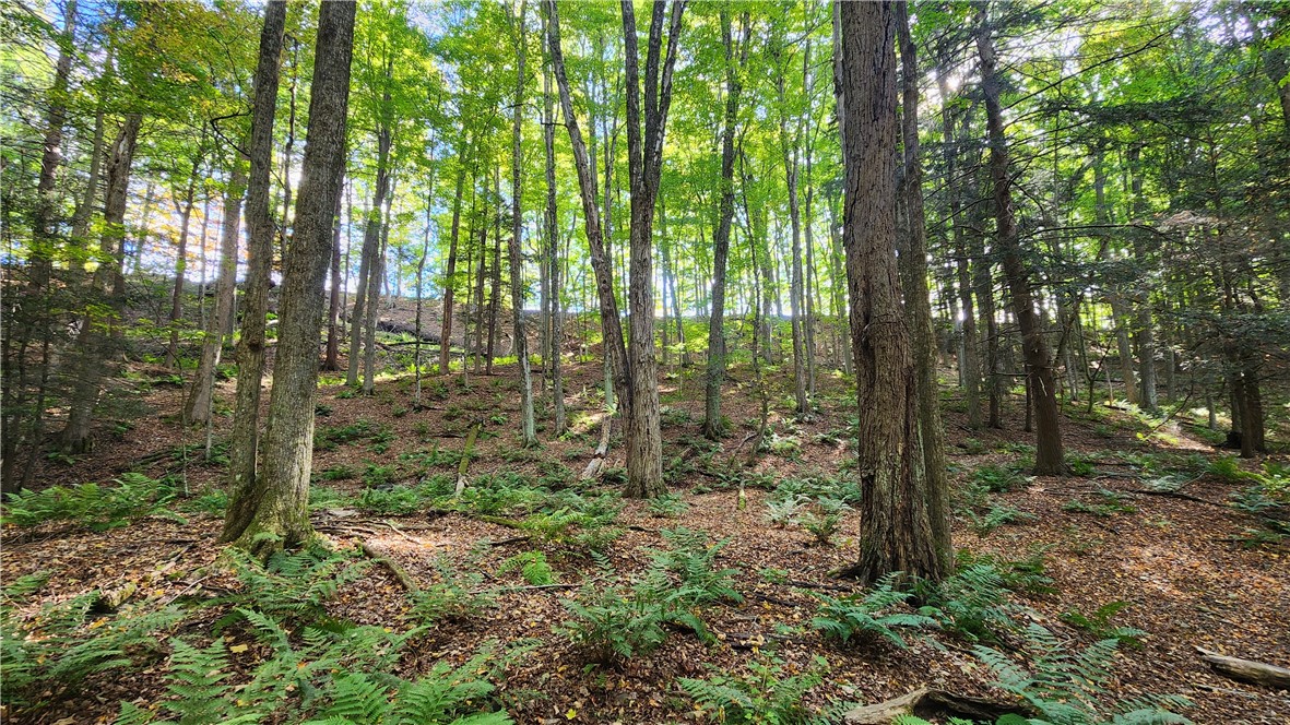 0 Old Italy Valley Road Naples, NY 14512 - Photo 13 of 41