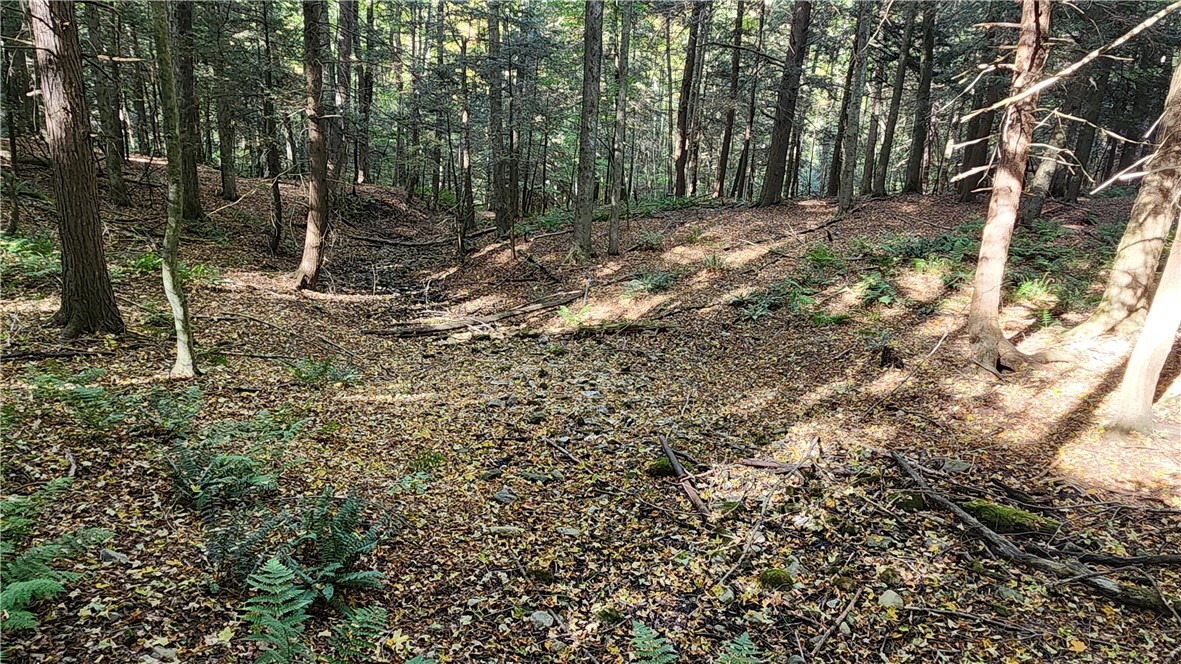 0 Old Italy Valley Road Naples, NY 14512 - Photo 15 of 41