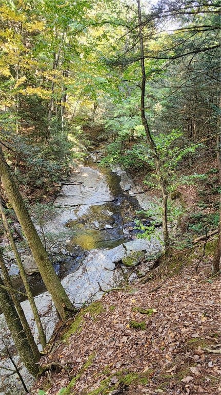 0 Old Italy Valley Road Naples, NY 14512 - Photo 18 of 41