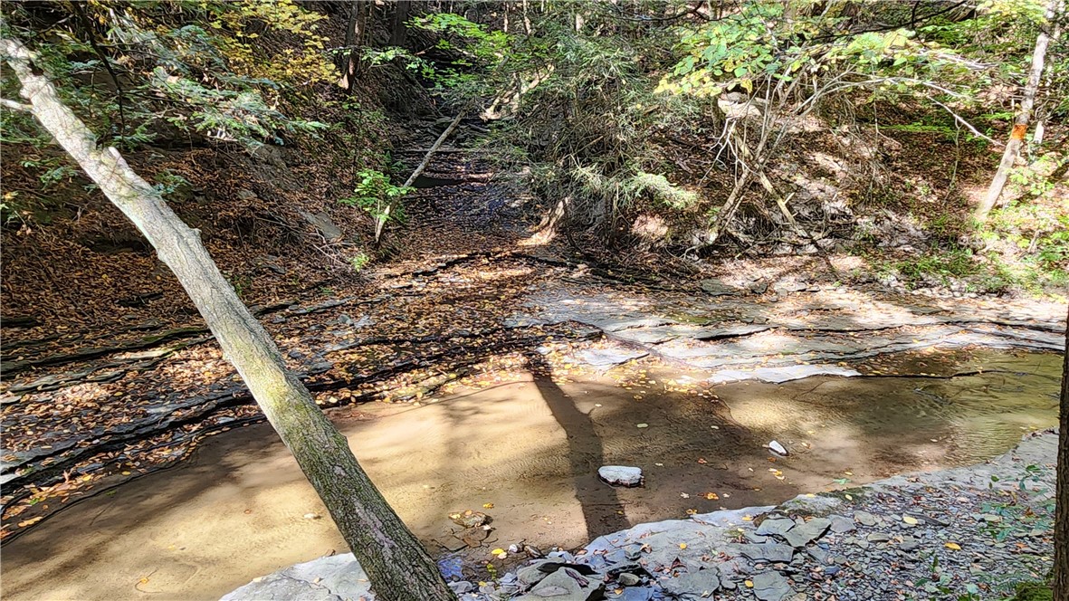 0 Old Italy Valley Road Naples, NY 14512 - Photo 20 of 41