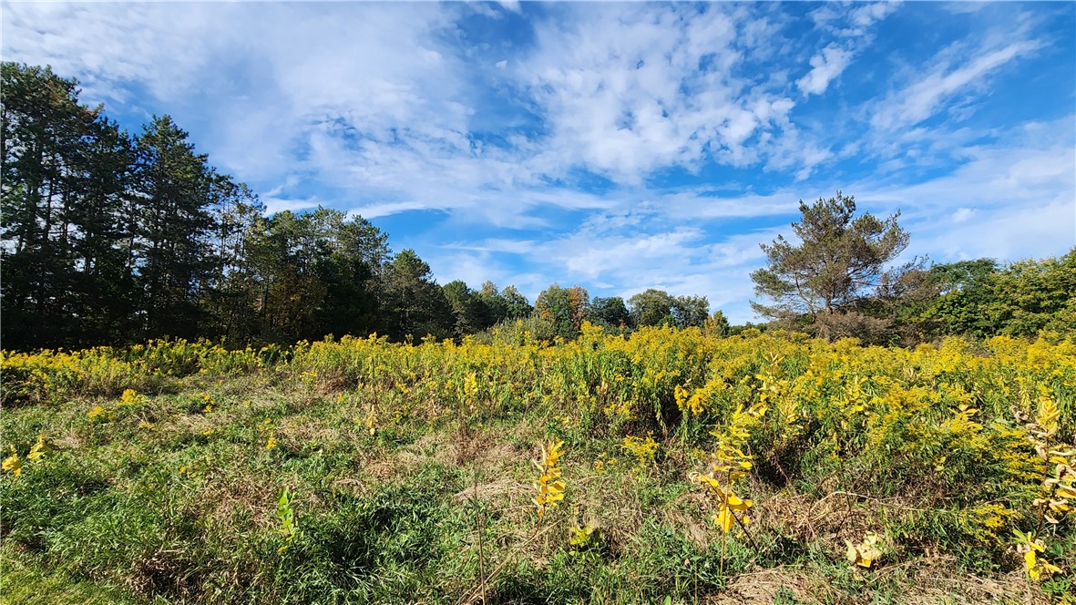 0 Old Italy Valley Road Naples, NY 14512 - Photo 2 of 41