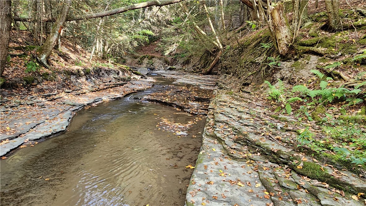 0 Old Italy Valley Road Naples, NY 14512 - Photo 21 of 41