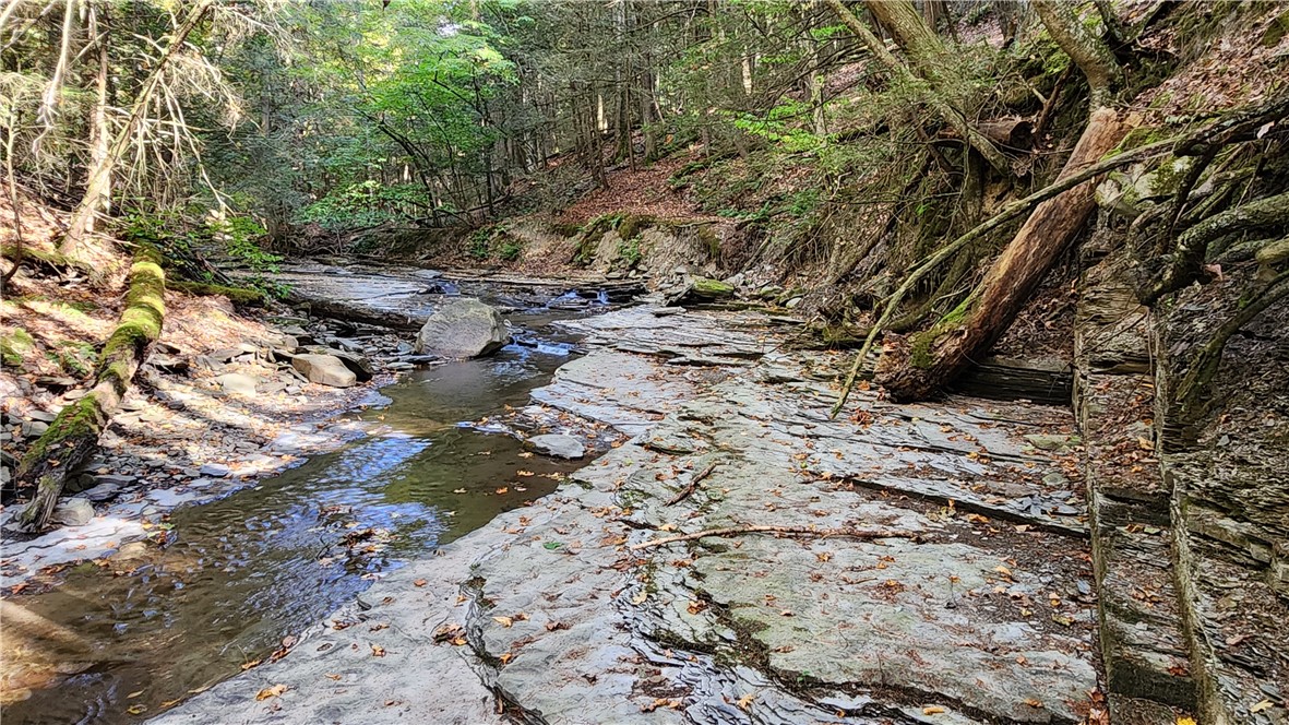 0 Old Italy Valley Road Naples, NY 14512 - Photo 22 of 41