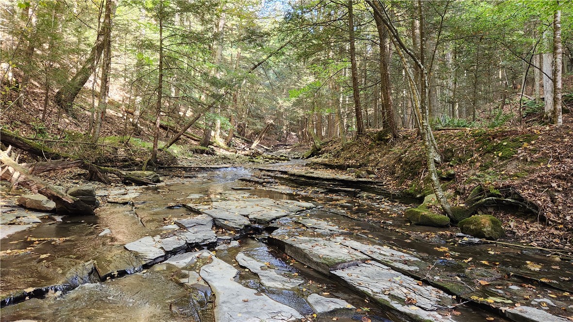 0 Old Italy Valley Road Naples, NY 14512 - Photo 23 of 41