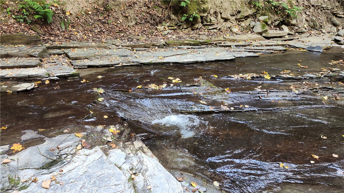 0 Old Italy Valley Road Naples, NY 14512 - Photo 24 of 41