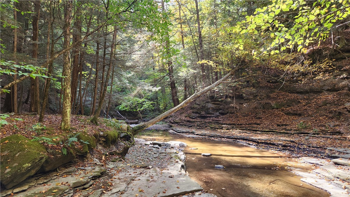 0 Old Italy Valley Road Naples, NY 14512 - Photo 26 of 41