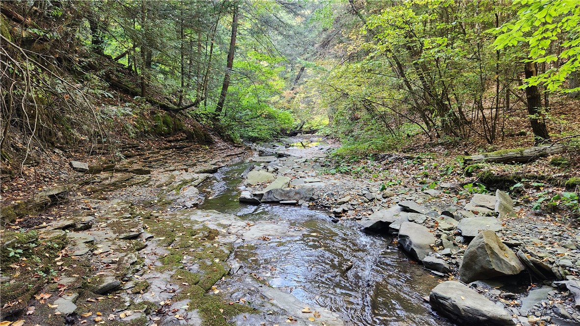 0 Old Italy Valley Road Naples, NY 14512 - Photo 27 of 41