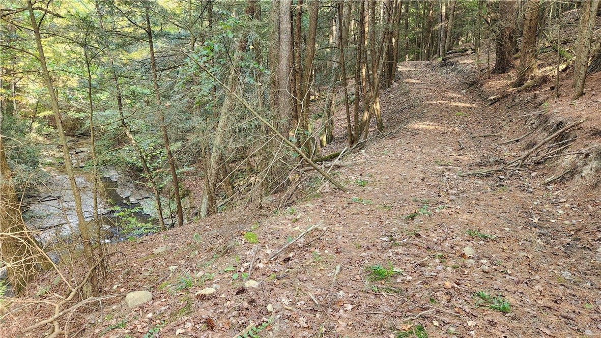 0 Old Italy Valley Road Naples, NY 14512 - Photo 28 of 41