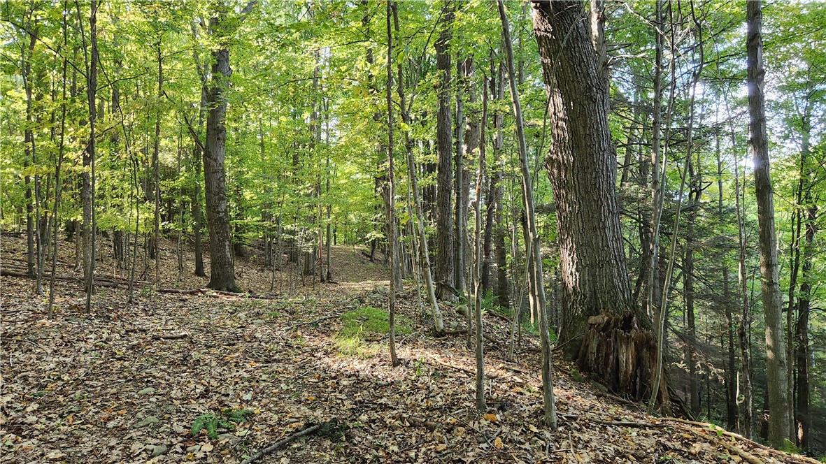 0 Old Italy Valley Road Naples, NY 14512 - Photo 30 of 41