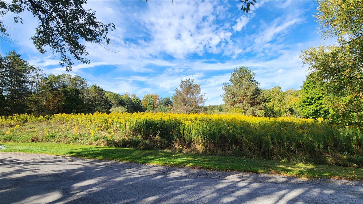 0 Old Italy Valley Road Naples, NY 14512 - Photo 3 of 41