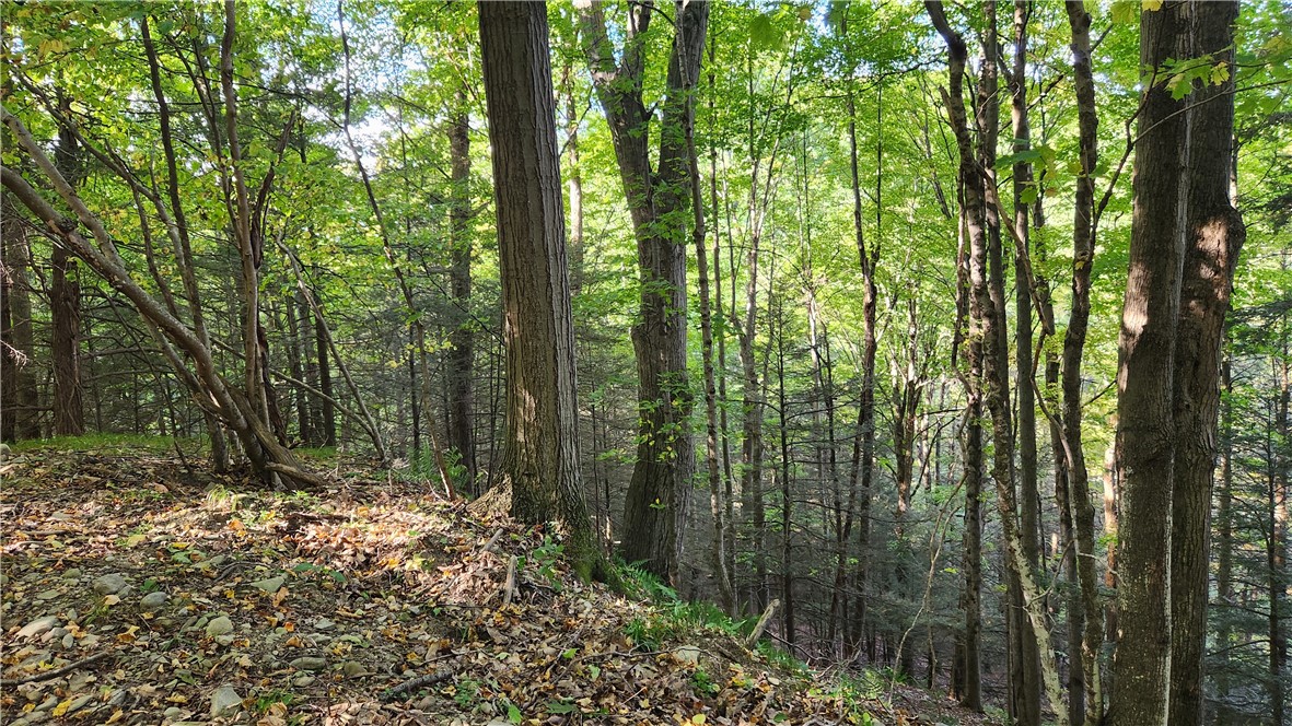 0 Old Italy Valley Road Naples, NY 14512 - Photo 31 of 41