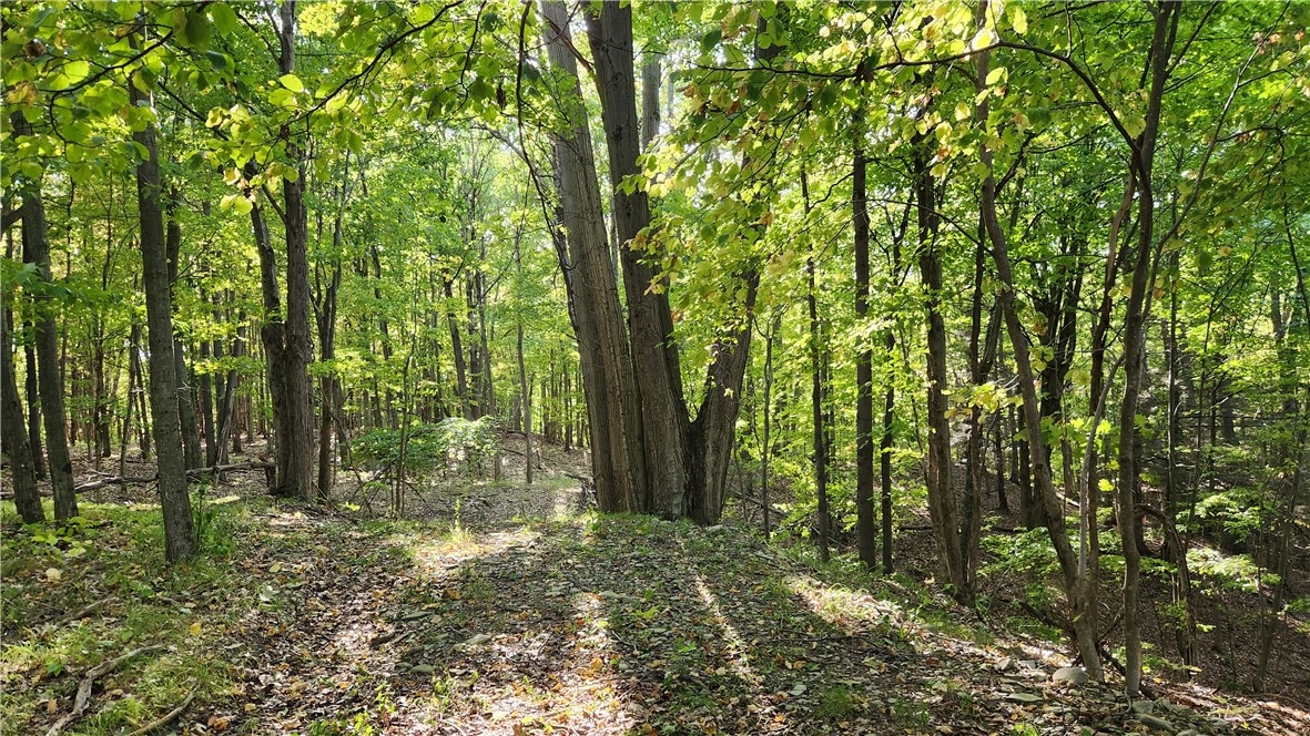 0 Old Italy Valley Road Naples, NY 14512 - Photo 32 of 41