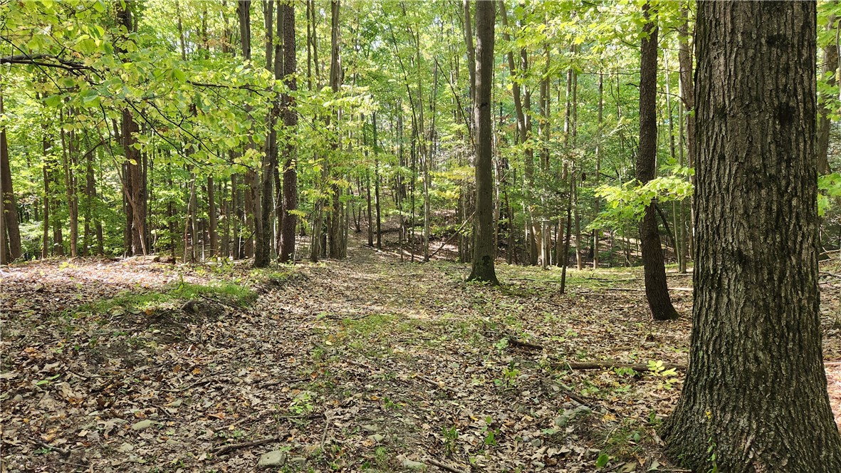 0 Old Italy Valley Road Naples, NY 14512 - Photo 33 of 41