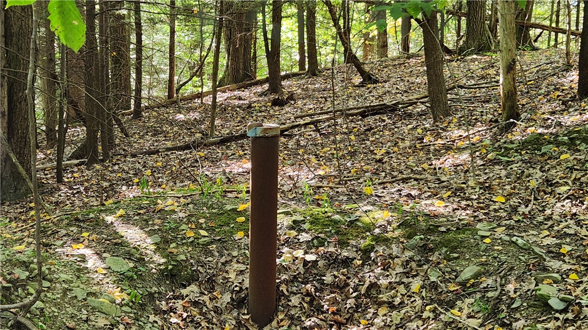 0 Old Italy Valley Road Naples, NY 14512 - Photo 34 of 41