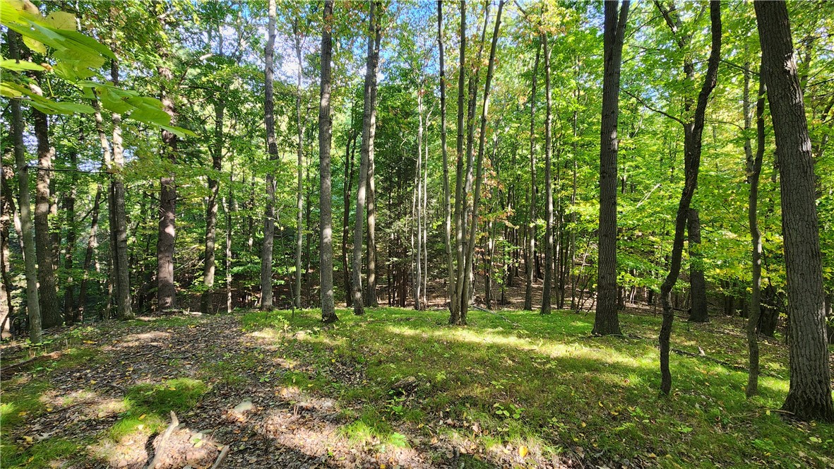 0 Old Italy Valley Road Naples, NY 14512 - Photo 37 of 41