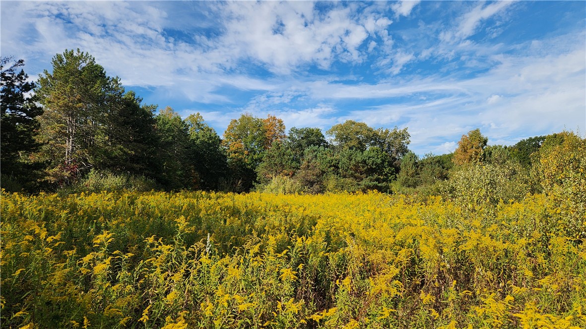 0 Old Italy Valley Road Naples, NY 14512 - Photo 4 of 41