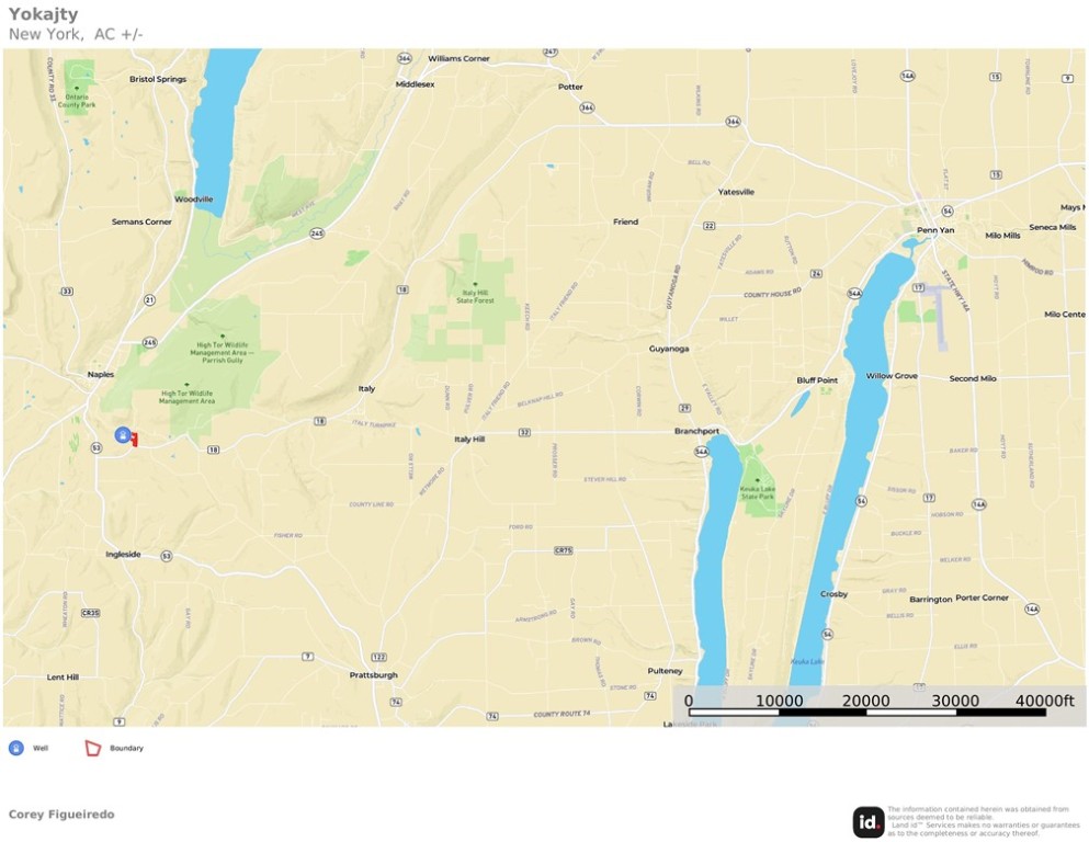 0 Old Italy Valley Road Naples, NY 14512 - Photo 41 of 41