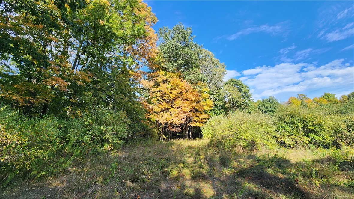 0 Old Italy Valley Road Naples, NY 14512 - Photo 6 of 41