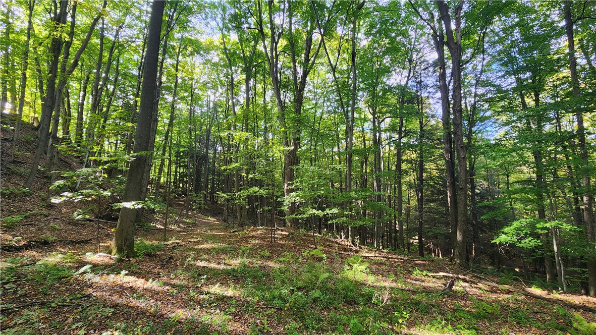 0 Old Italy Valley Road Naples, NY 14512 - Photo 7 of 41