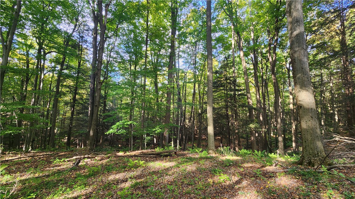 0 Old Italy Valley Road Naples, NY 14512 - Photo 8 of 41