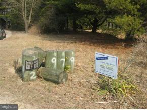 20979 Orchard Road Ellendale, DE 19941 - Photo 5 of 5