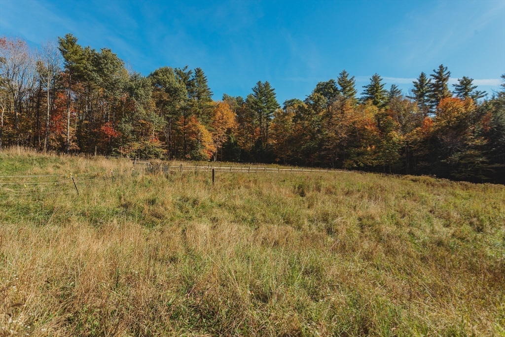 163 Hazelton Road Rowe, MA 01367 - Photo 32 of 40 a view of a yard