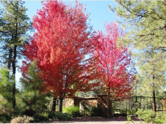 3935 West Copper Basin Road Prescott, AZ 86303 - Photo 1 of 20 Primary Photo
