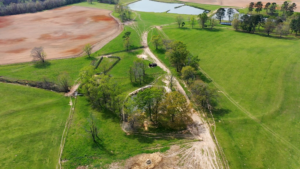 369 Bud Gary Road Clayton, AL 36016 - Photo 18 of 42