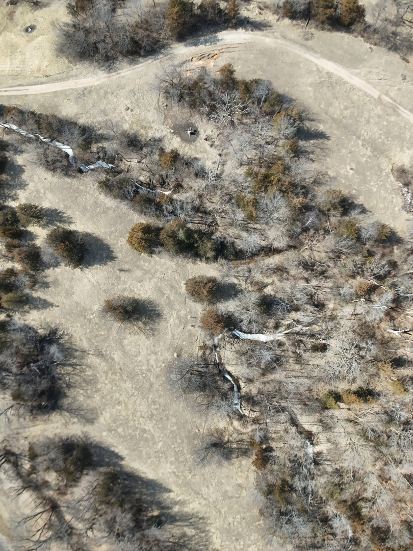 0 Spring Valley Road Fulton, IL 61252 - Photo 5 of 15 a view of a dry yard with trees