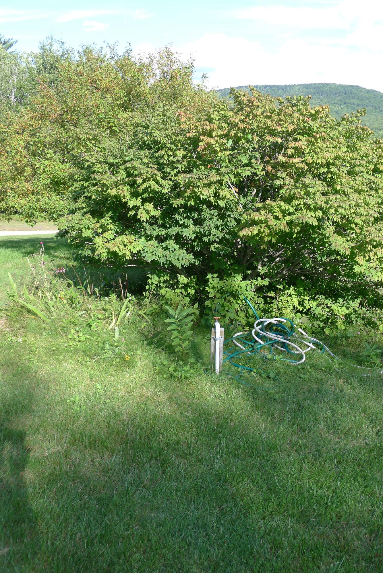 40 Pulsifer Road Peru, ME 04290 - Photo 43 of 60 3 spickets for watering