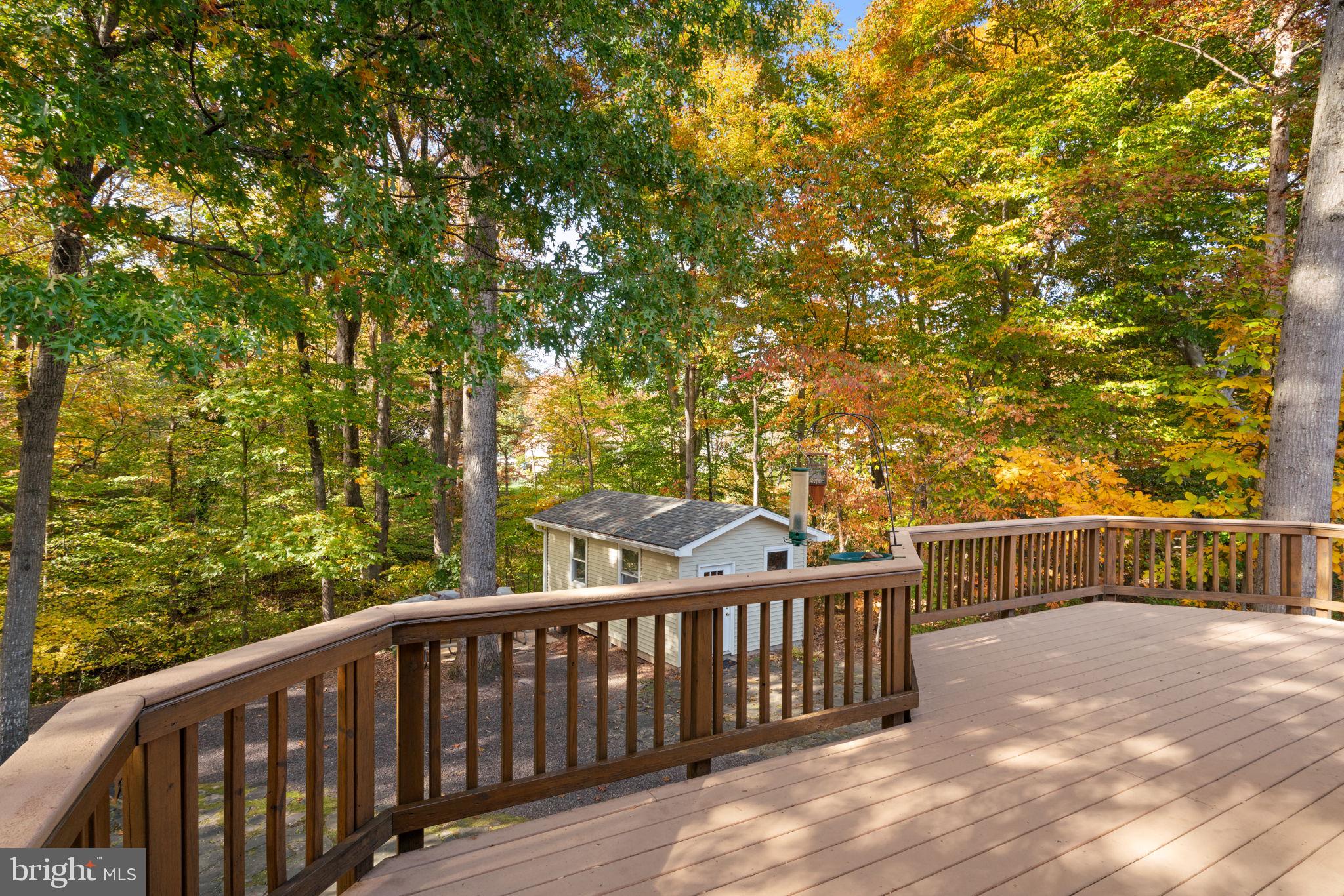 7006 Elkton Drive Springfield, VA 22152 - Photo 49 of 61