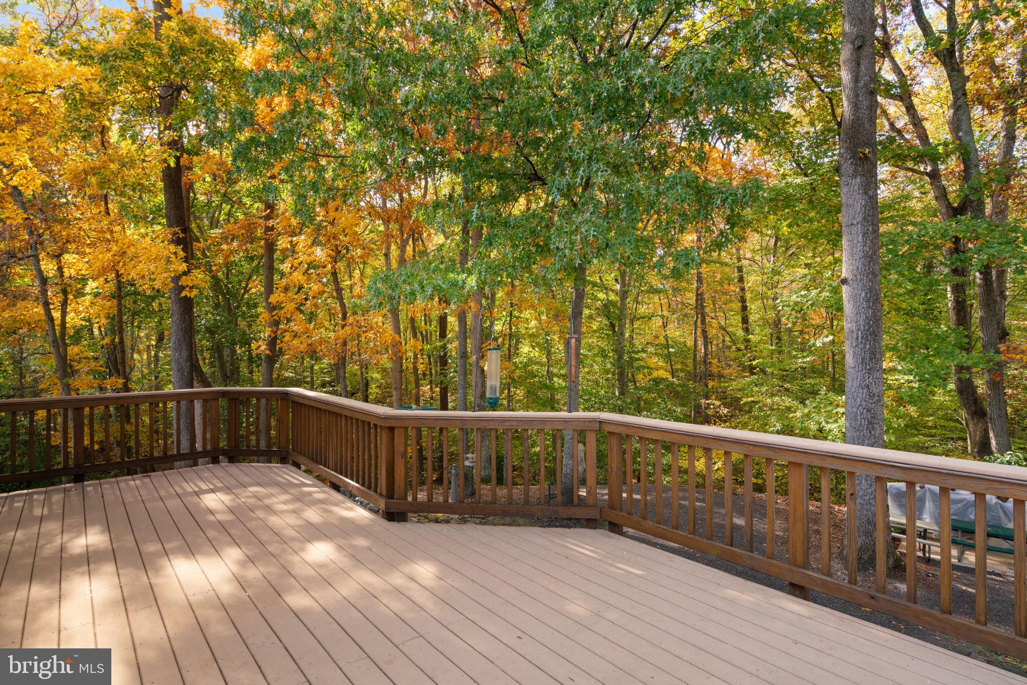 7006 Elkton Drive Springfield, VA 22152 - Photo 51 of 61