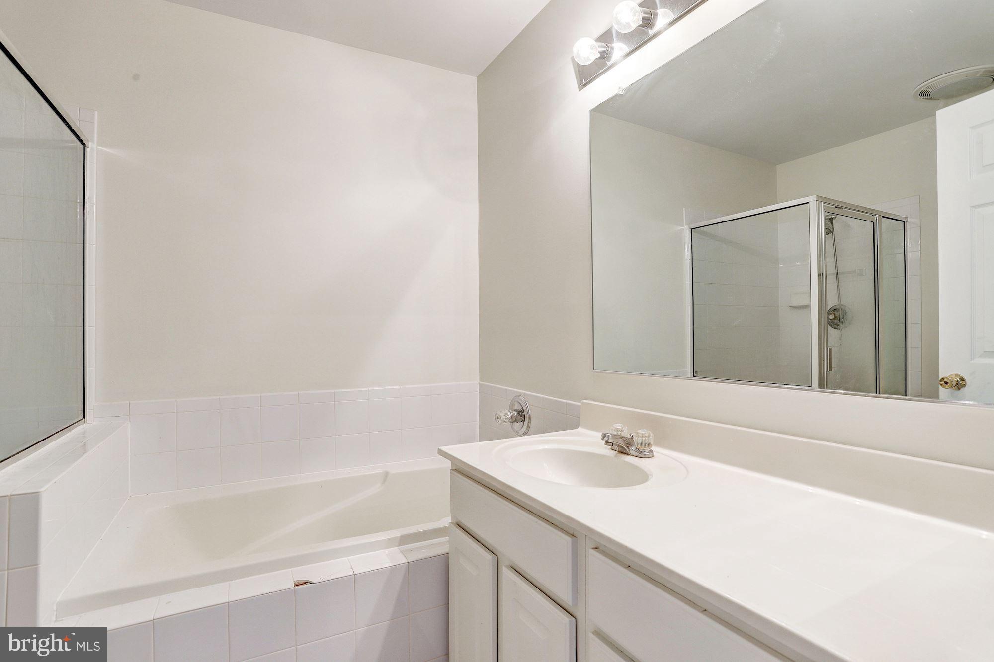 8405 Glad Rivers Row Columbia, MD 21045 - Photo 11 of 27 Master Bath