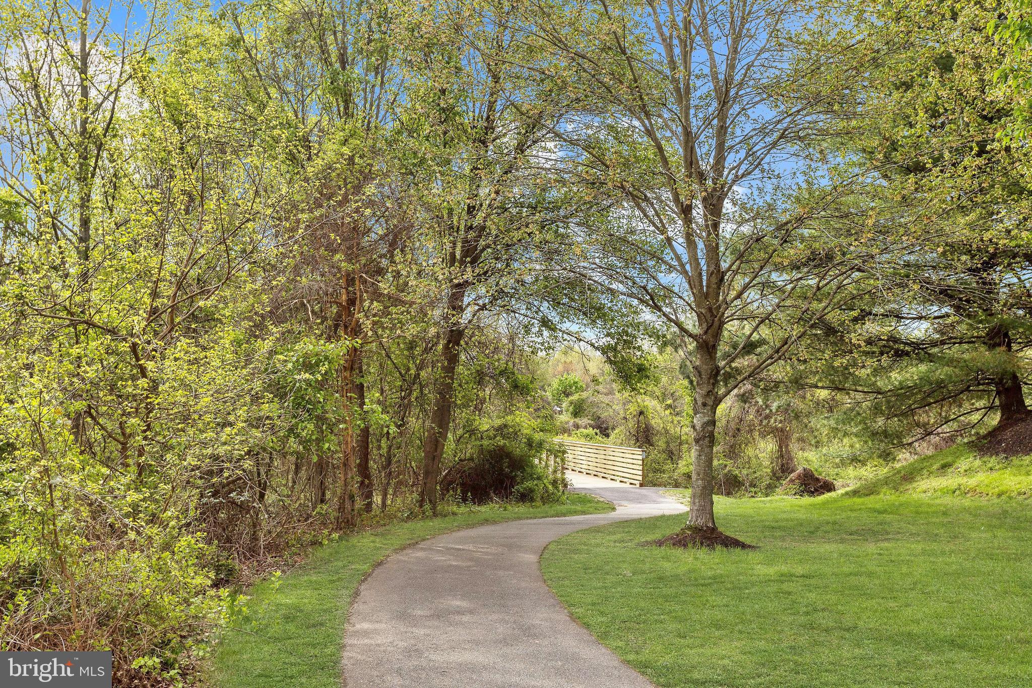 8405 Glad Rivers Row Columbia, MD 21045 - Photo 22 of 27 Wooded trails behind home