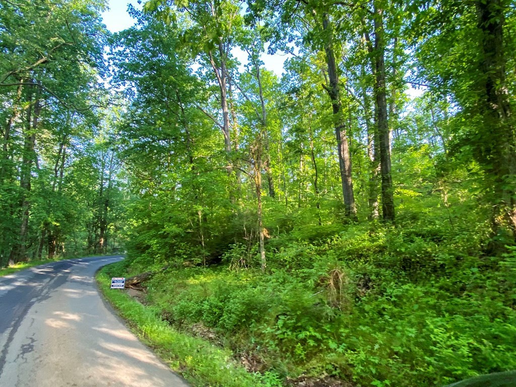 24 Fielden Store Road New Market, TN 37820 - Photo 5 of 30 Gallery Image 5