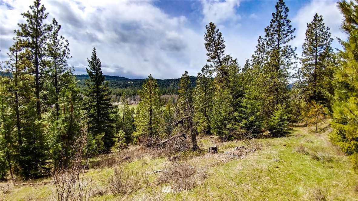 5420 Teanaway Road Cle Elum, WA 98922 - Photo 2 of 21 Gallery Image 2