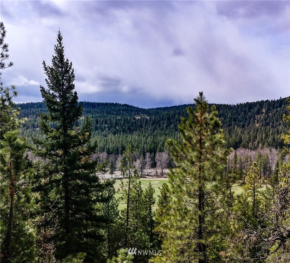 5420 Teanaway Road Cle Elum, WA 98922 - Photo 3 of 21 Gallery Image 3