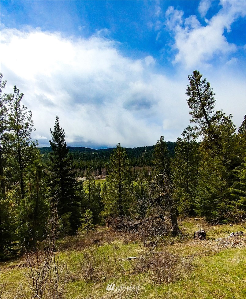 5420 Teanaway Road Cle Elum, WA 98922 - Photo 6 of 21 Gallery Image 6