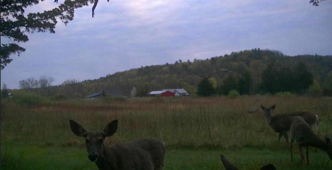 2091 North Lake Road Benson, VT 05743 - Photo 60 of 60